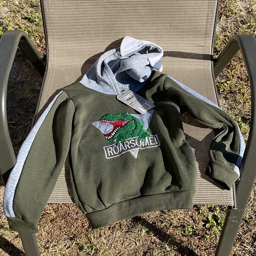 Green Dinosaur Hoodie with Gray Accents